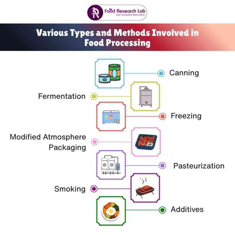 Food Processing: Methods & Examples 2026
