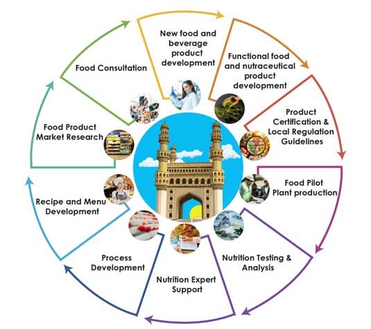 Hyderabad - Infographics