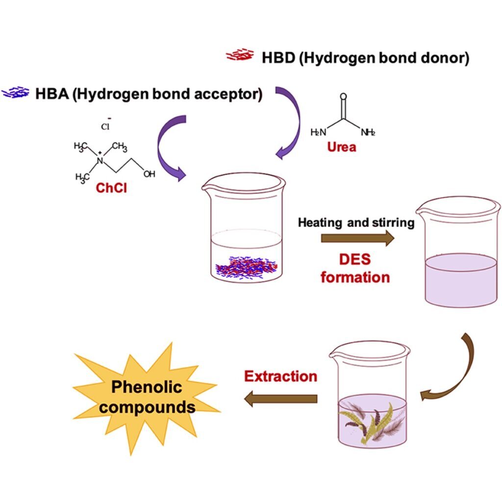 New Product formulation