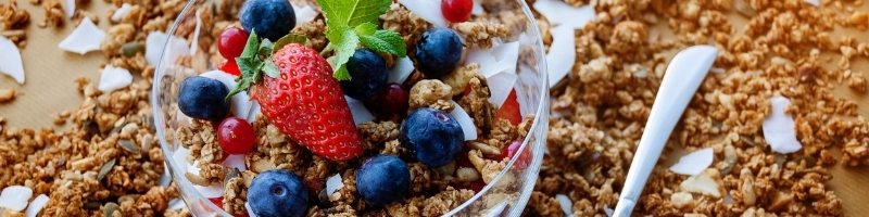 Thumbnail-Image-Protein-Based-Healthy-Breakfast-Cereal-Formulation-FRL-Methodology