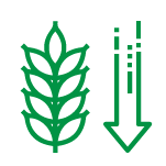 Low/Reduced carb