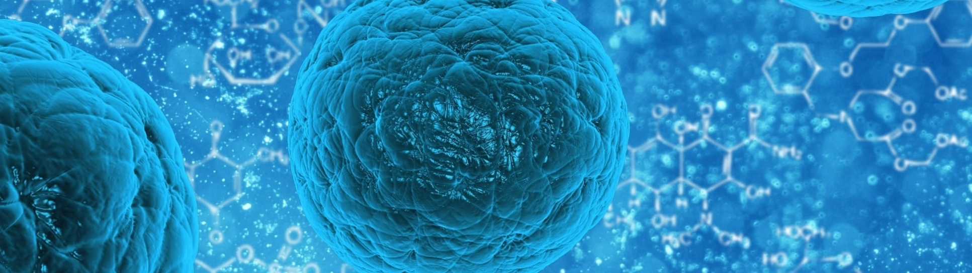 Pre & Probiotics Development