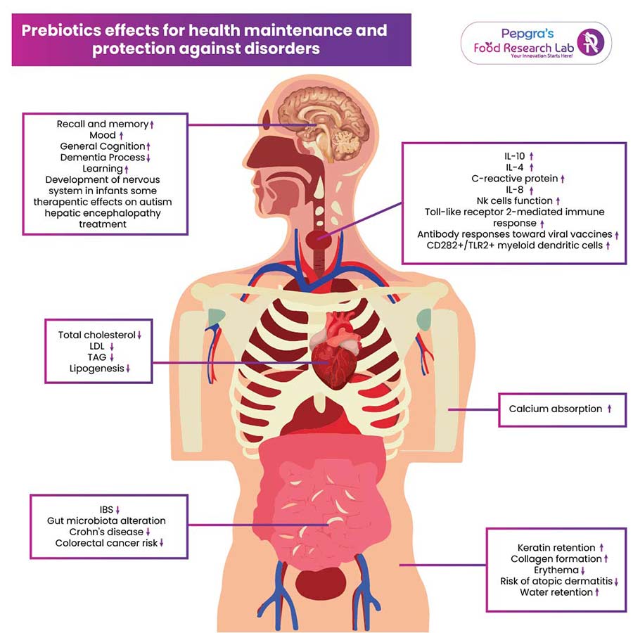 Prebiotics effects for health maintenance