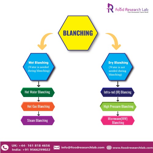 Blanching Of Fruits and Vegetables-FRL