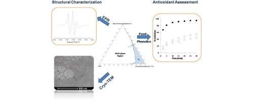 Micro Emulsions-FRL