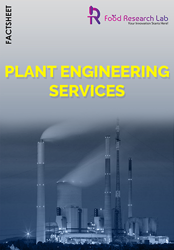 Plant Engineering Services