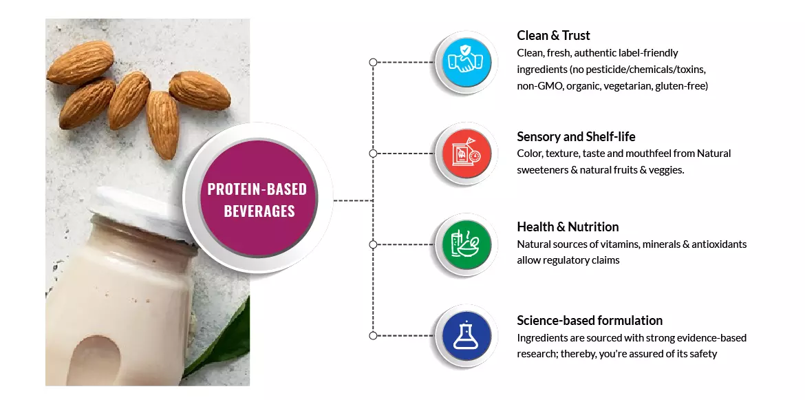 Protein-based beverages