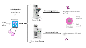 Spray Drying in Food Product Development-FRL