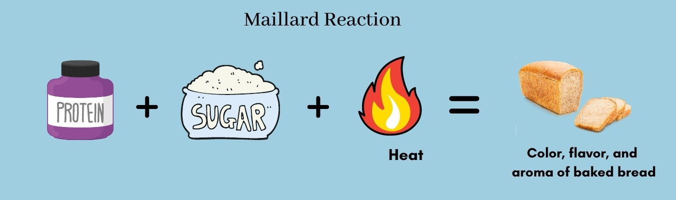 Thumbnail Image - What is Maillard Reaction