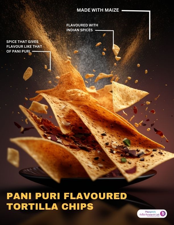Pani puri flavoured Tortilla chips
