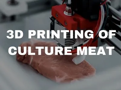 3D-Print-Meat