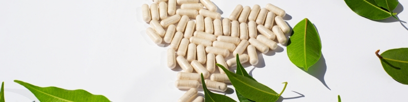 botanical nutraceuticals