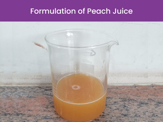 Peach Fruit Juice