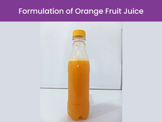 Orange Fruit Juice