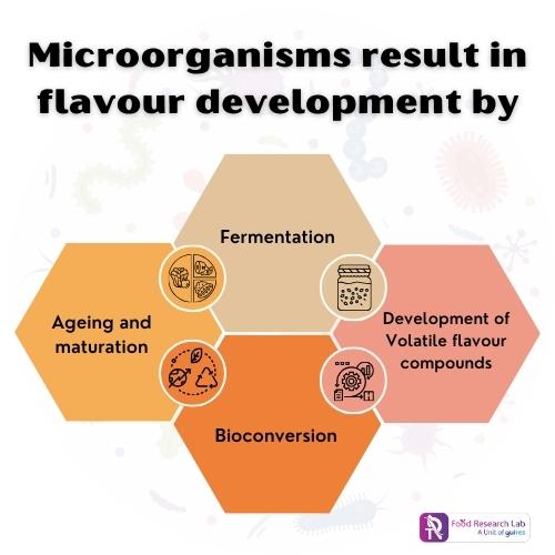 Microorganism result in flavour development