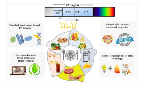 UVC radiation for microbial disinfection of food products (1)