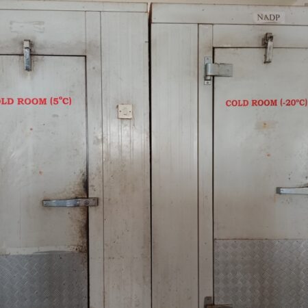 cold stroage