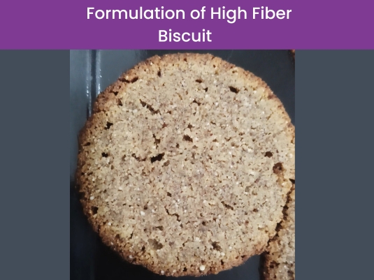 fiber siscuit (1)