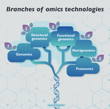 BRANCHES OF OMIS TECHNOLOGY