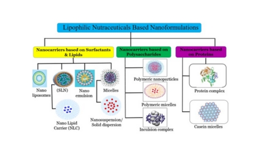 Different delivery system with nanotechnology