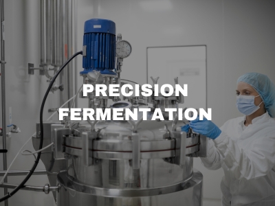 Precision fermentation
