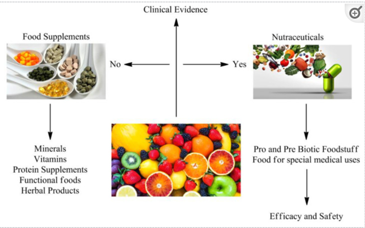 A comprehensive review on nutraceuticals