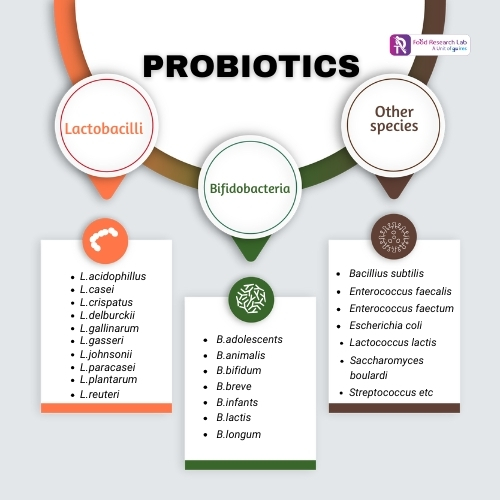 Formulating Probiotic Food and Beverages Products