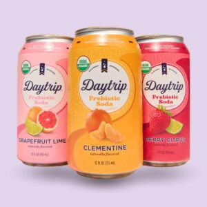 DayTrip