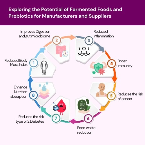 Exploring-the-Potential-of-Fermented-Foods-and-Probiotics-for-Manufacturers-and-Suppliers-FRL