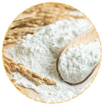 Flour Enzymes