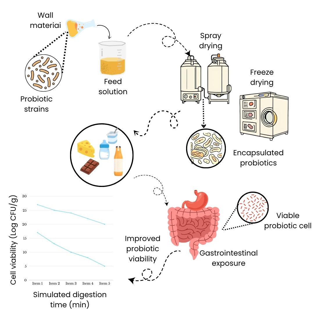 Improved-probiotic-viability-FRL