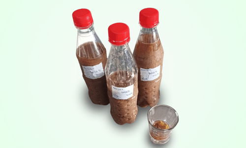 Millet Based Milk