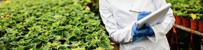 FRL-Manufacturing Herbal and Botanical Products Why Contract Manufacturing is the Ideal Route-thumbnail