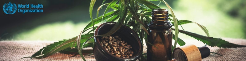 WHO Guidelines 2025 Standardization and Labeling of Herbal Products for A Manufacturer Guide-FRL