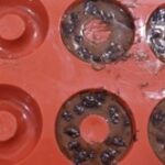 protein donut