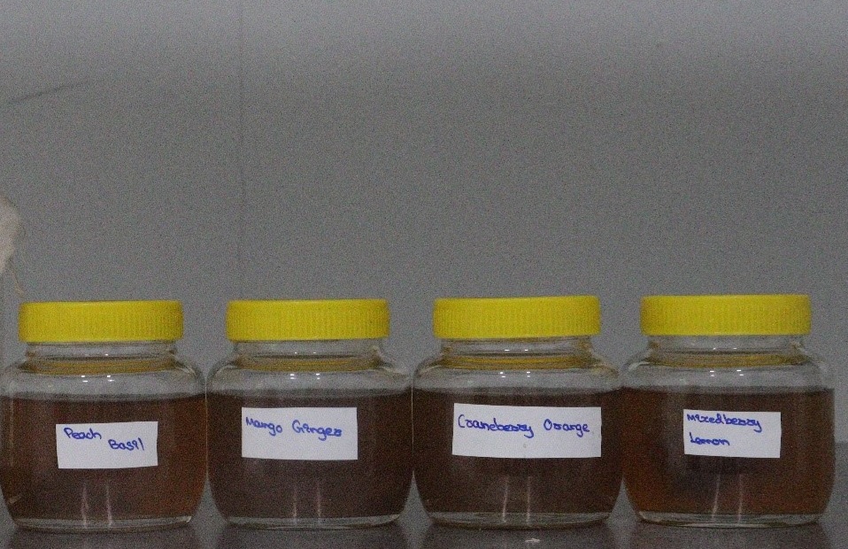 Kombucha1 ISL_FRL