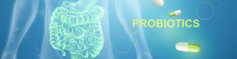 The Future of Probiotics in Dietary Systems Trends and Tailored Innovation thumbnail