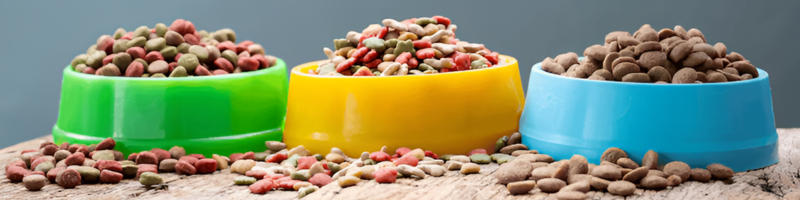 Veterinary Pet Food Diet Trends Adapting to a Growing Demand for Science-Backed Solutions-Thumbnail