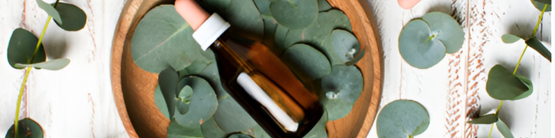 Botanical Hydrating Serum