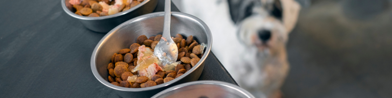 Additives and Preservatives – Safe Usage in Pet Food Products from IS 119682019 (1)