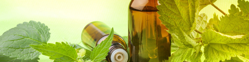 Aromatics Embraces Peppermint through ABCs Adopt-an-Herb Program