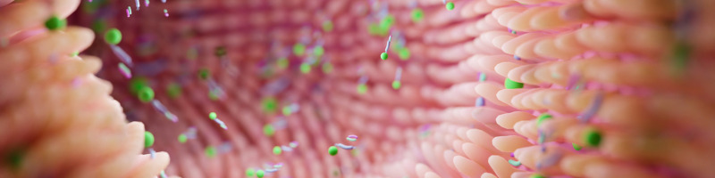 Exploring the Gut-Skin Axis Insights into the Microbiome’s Role in Dermatological Health