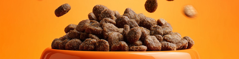 Ingredient Regulations – What Ingredients Are Allowed in Pet Food by IS 119682019