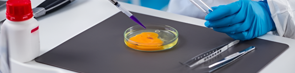 food coloring