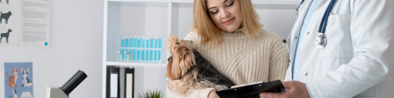 Understanding Palatability Testing in Pets