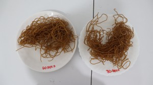 Instant Noodles