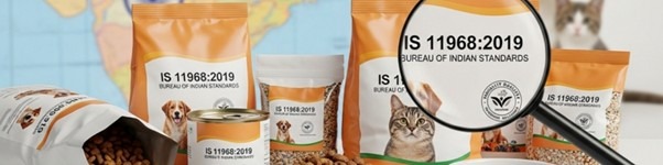 Pet safety