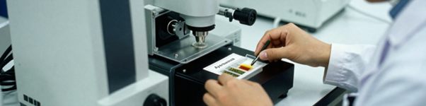USA Ayurveda Herbal Brands Regulatory Benchmarking