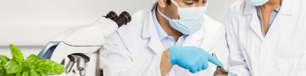 Safety & quality testing