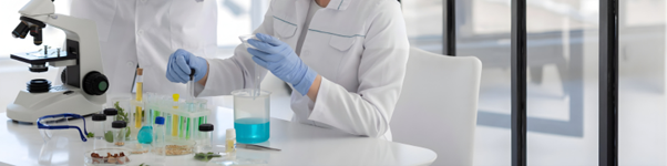 Bioactive Formulation Changing Functional Foods